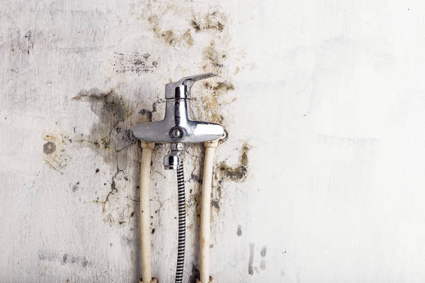 Best Mold Remediation for Schools in Coalgate, OK