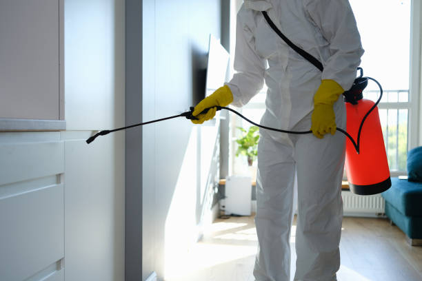 Coalgate, OK Mold Remediation Company