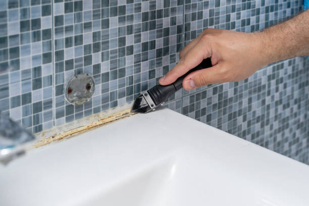 Best Insurance-Related Mold Remediation in Coalgate, OK